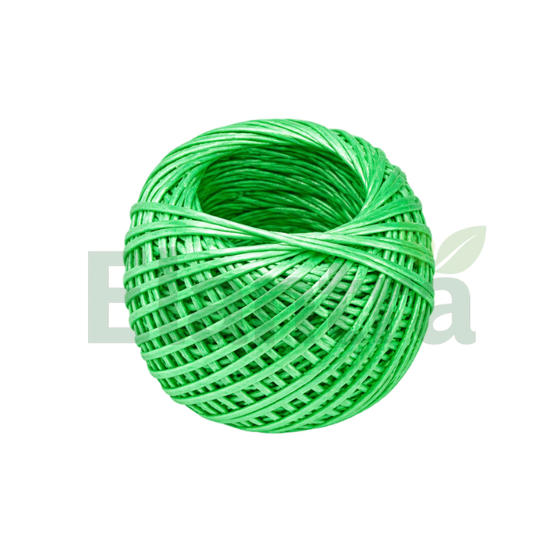 STRING (B)